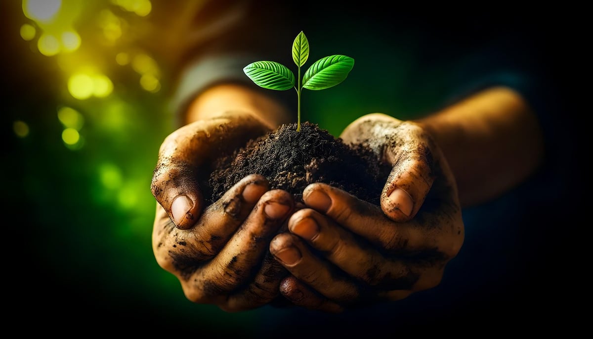 Adaptation des pratiques agricoles : vers une agriculture durable et résiliente face aux changements climatiques