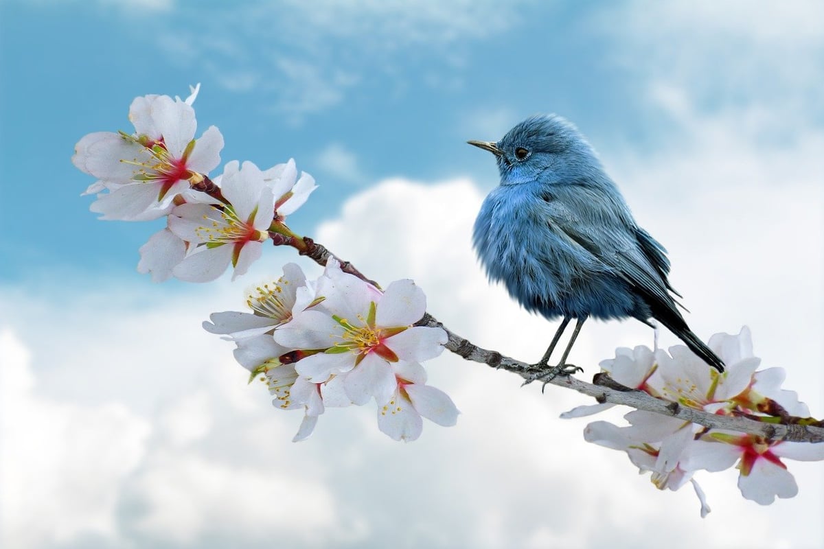 L’avenir s’écrit avec la nature