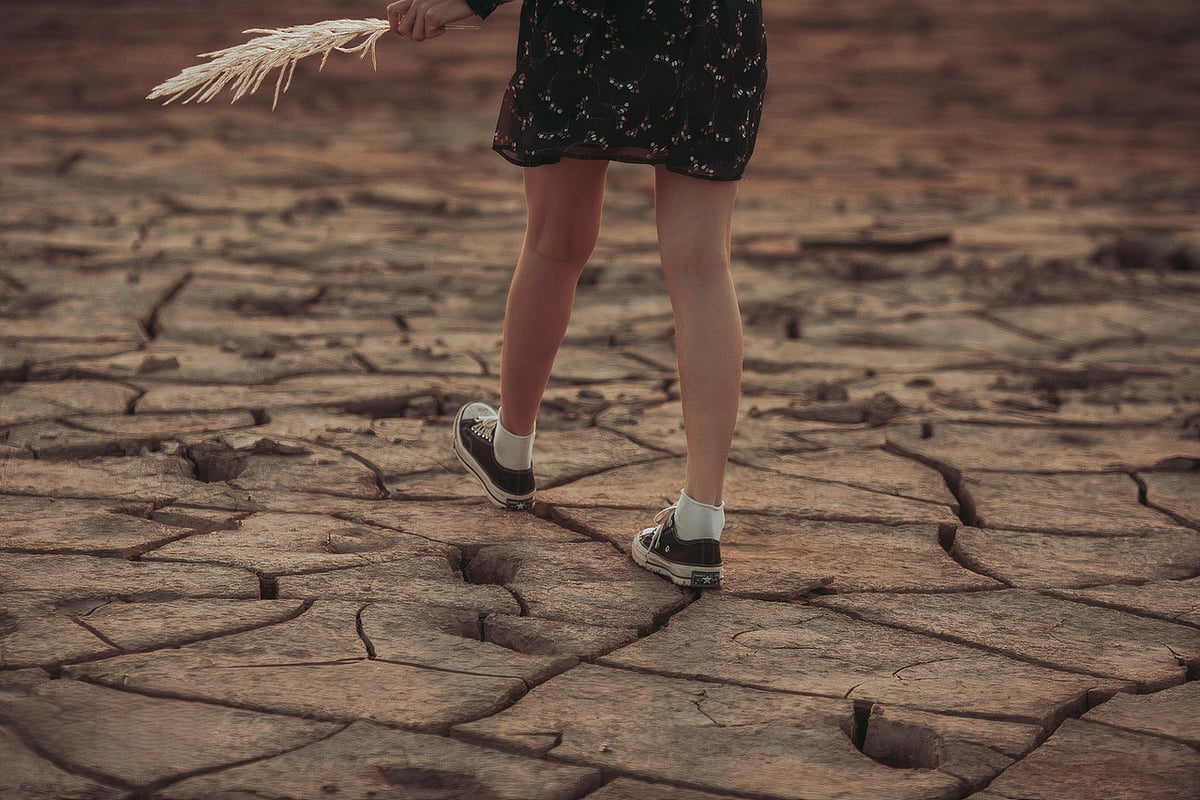 Changement climatique en Europe : données et statistiques révélatrices