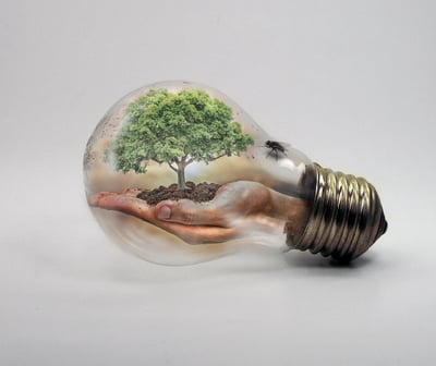 Protection et réhabilitation des sols : enjeux et solutions durables