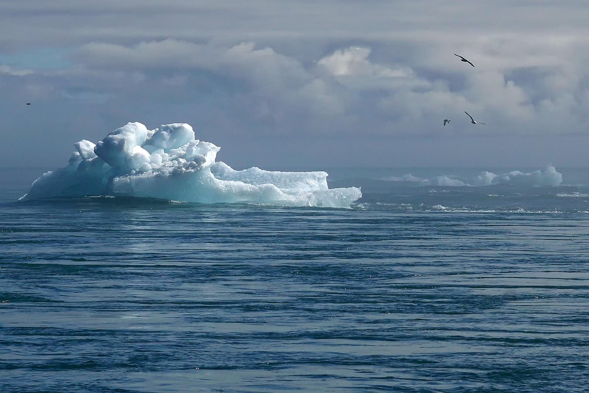Changement climatique : Comprendre ses conséquences sur notre planète